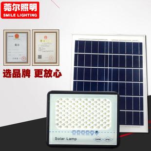 太陽能庭院燈戶外家用照明超亮室外防水滿天星路燈照樹投光燈