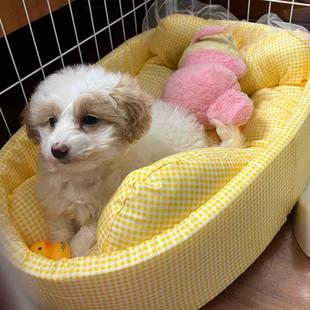 通用泰迪比熊小型犬可拆洗垫子宠物睡觉粉色格子狗床沙发 狗窝四季