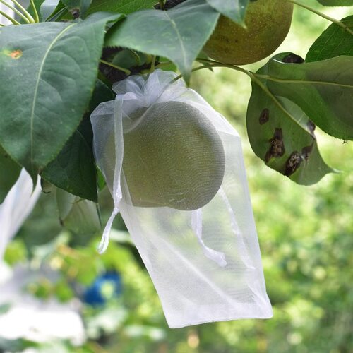 水果套袋防鸟袋通用袋瓜果防虫专用袋无花果葡萄桃子草莓防虫袋