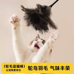 驼鸟毛逗猫棒猫咪玩具自嗨解闷神器气味丰荣天然羽毛耐咬宠物用品