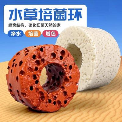 鱼缸水草沉底过滤环新手必备