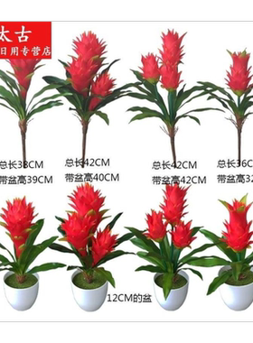 仿真 花 鸿运当头盆栽桌面绿植红掌摆设客厅装饰盆景塑料