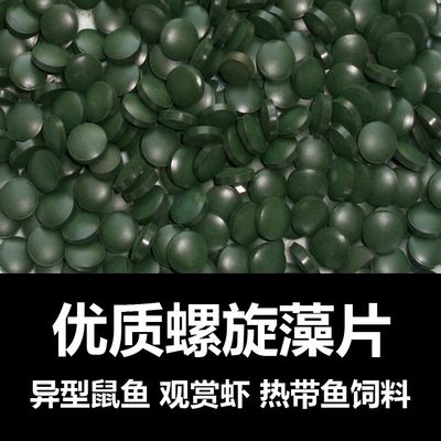 黄金胡子鱼大凡大帆鱼螺旋藻片异型鱼水晶虾鳌虾米虾鼠鱼食饲料