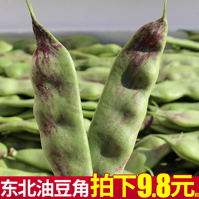 东北油豆角新鲜蔬菜一点红大宽面豆角开锅烂九月青食用辽宁包邮5
