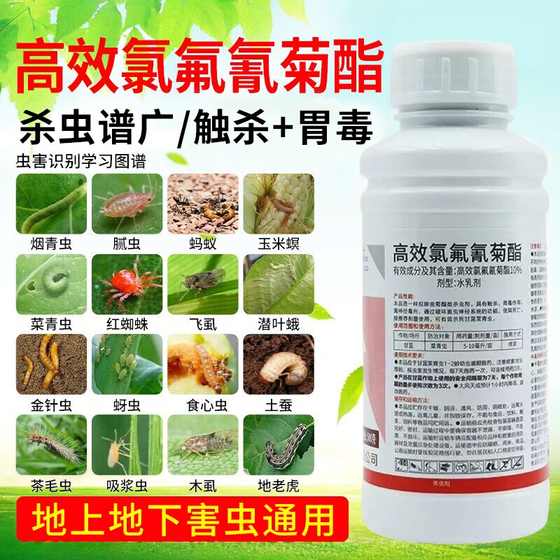 敌敌杀虫剂畏畏气雾剂滴滴农药畏大全植物农用高效氯氟氰菊脂正品