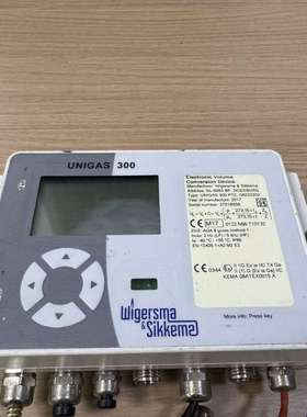 议价：Wigersma & Sikkema UNIGAS 300电