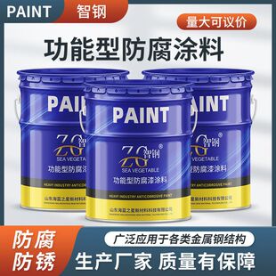 氯磺化聚乙烯底漆 氯磺化面漆 管道防腐用漆 厂家发货 质量保证