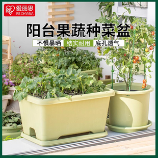爱丽思种植花盆长方形阳台蔬菜种菜盆专用盆家用塑料加仑盆爱丽丝
