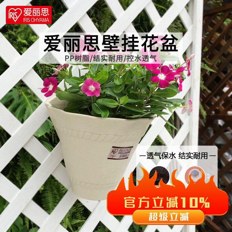 爱丽思壁挂花盆加厚树脂半圆塑料吊篮创意多肉悬挂式盆栽爱丽丝盆