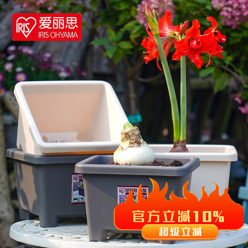 树脂简约加厚耐用多孔排水透气