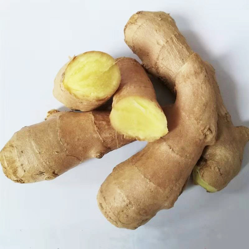 预果旗舰店