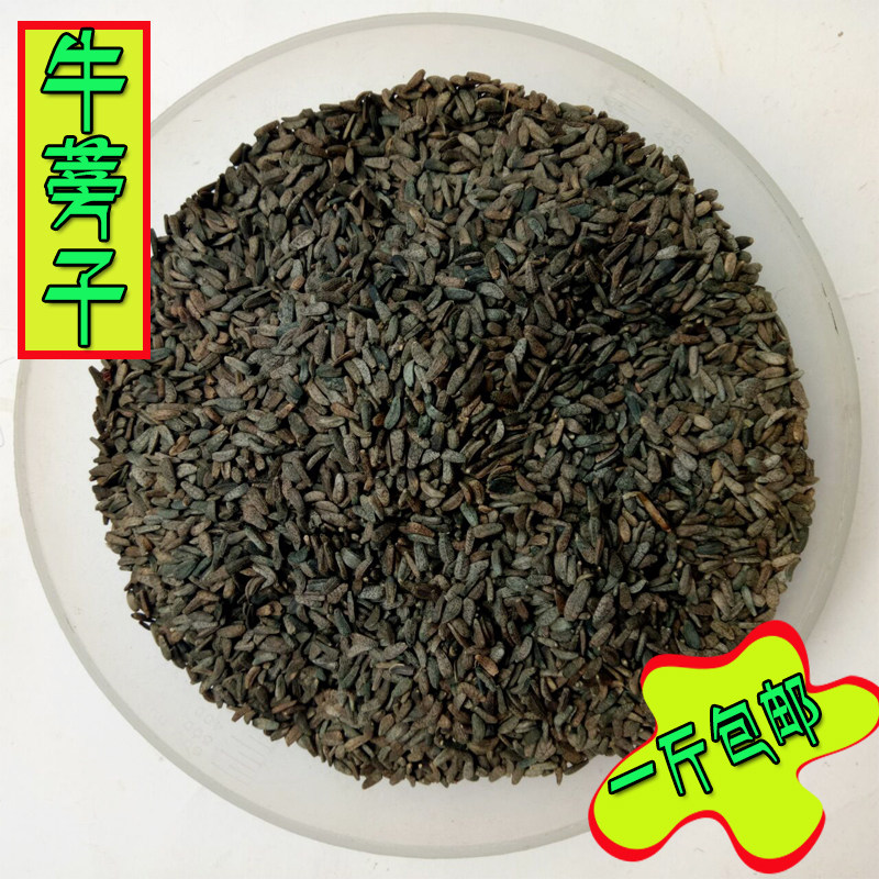 野生牛蒡子500g药材鼠粘子黍粘子大力子毛然然子黑风子毛锥子牛子