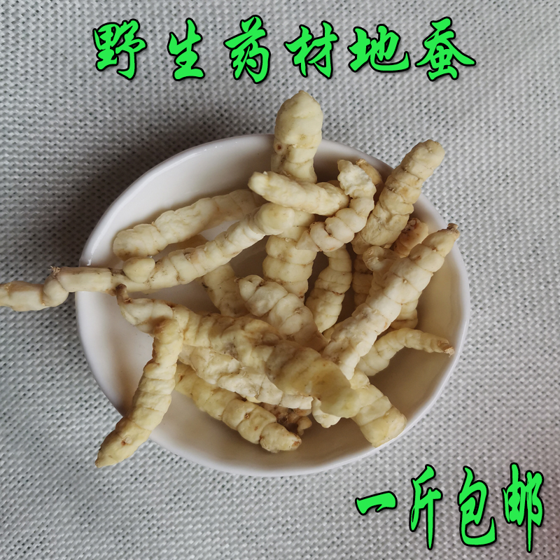 贵州产新品野生药材地蚕无硫土冬虫干貨肺痨草500克一斤包邮