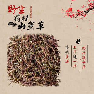 野生药材山蜜草山密茶 长寿艹 一斤包邮可搭配甜叶菊 罗汉果花