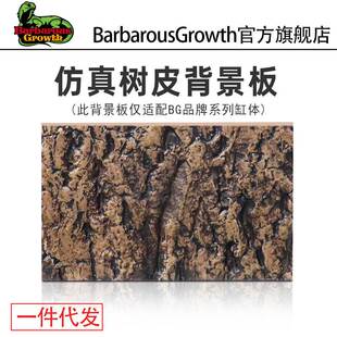 香槟木树皮 蜘蛛守宫蜥蜴躲避饲养箱造景树皮背景火玫瑰蜘蛛躲避