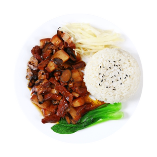 百家享园10包卤肉饭料理包商用外卖快餐快手菜批发预制菜半成品菜