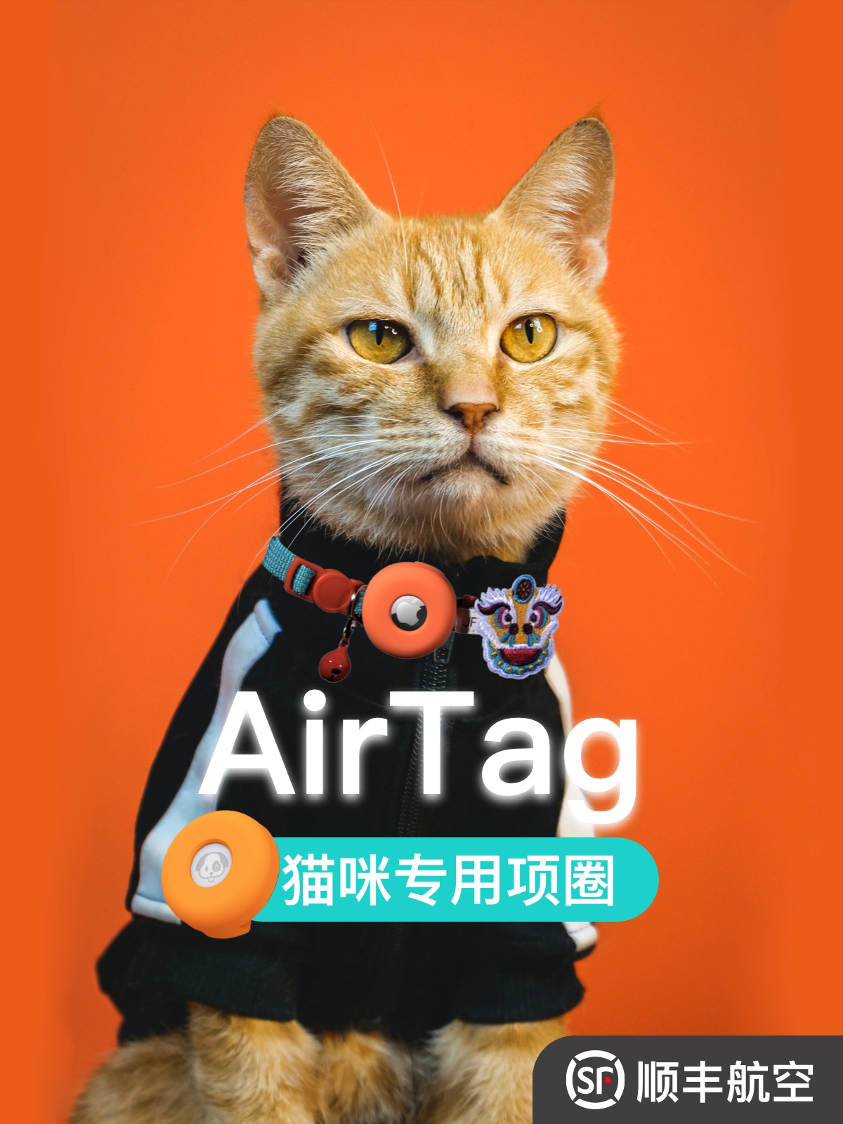 猫咪专用airtag项圈防锁死小巧