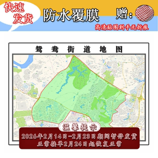 鸳鸯街道地图1.1m重庆市渝北区行政区域交通路线划分高清贴图新款