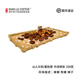 滇潞 云南山人计划/太妃不等式 保山小粒咖啡 精品 阿拉比卡 250g