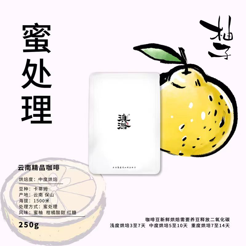 云南 滇潞 保山小粒咖啡豆 蜜处理 手冲单品  新鲜烘培 250克袋装