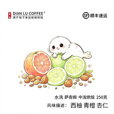滇潞水洗萨奇姆云南小粒咖啡