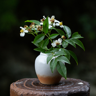 迷你小花缸水培植物花瓶铜钱草绿萝容器客厅花插打孔版可土培