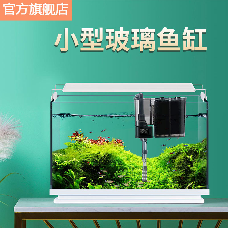 画法几何玻璃套装草缸客厅小型桌面创意缸家用小型生态水族箱鱼缸