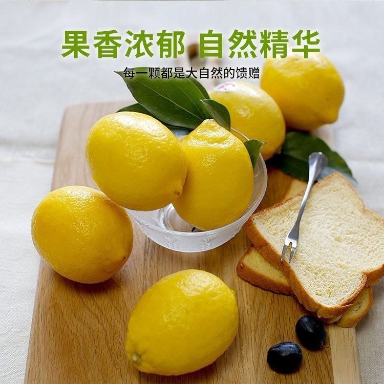 fresh lemons picked on a farm high in vitamin c  lemon slice