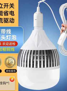 家用带线户外照明灯led公牛一级