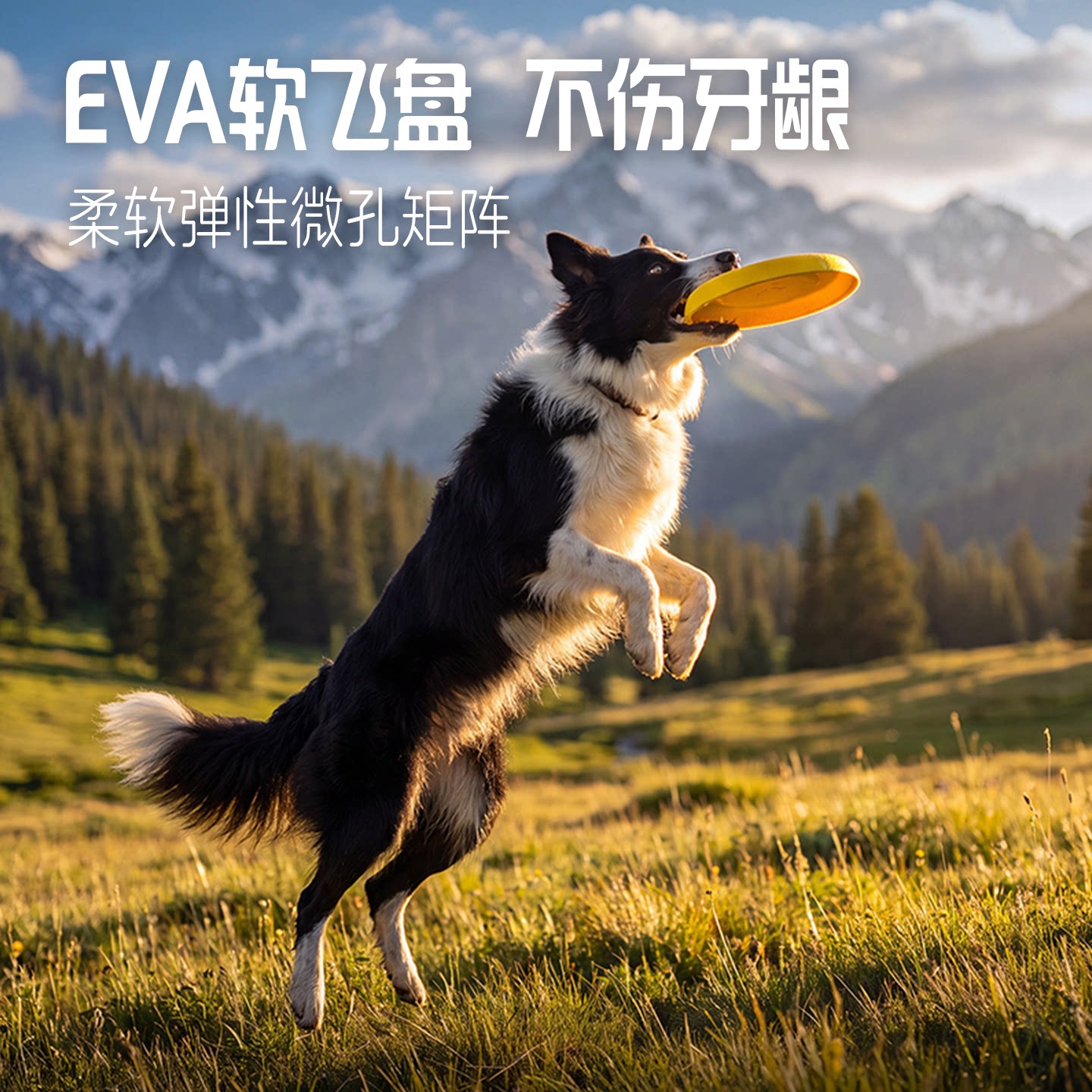 狗狗飞盘玩具边牧柯基中大型犬