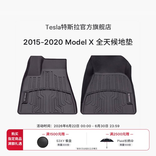 tesla/特斯拉全天候第一排地垫