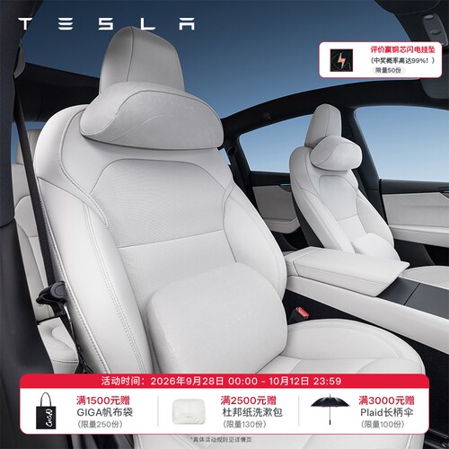 特斯拉（Tesla）官方 Tesla 头枕/腰靠（浅色）