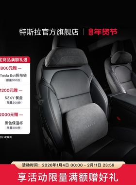 特斯拉（Tesla）官方 Model 3/Y/YL 头枕&腰靠组合 头枕*1+腰靠*1