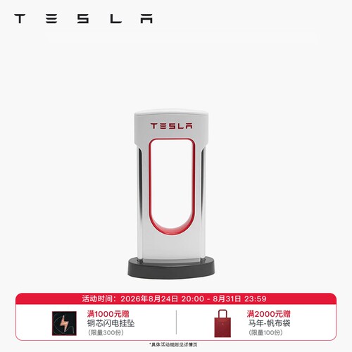 tesla/特斯拉收藏束线超级摆件