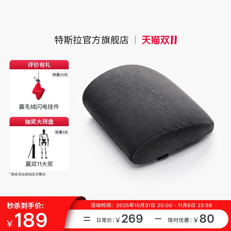 特斯拉（Tesla）官方 Model 3/Y/YL 腰靠（单个）记忆棉贴合曲线
