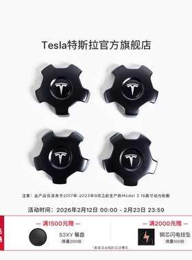 特斯拉（Tesla）官方 Model 3动力轮毂螺帽套件专车专用流线卡口