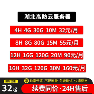 国内高防云服务器租用独享带宽高配网站云服务器主机湖北云主机