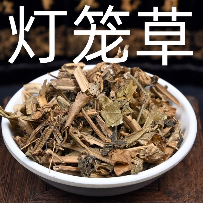 灯笼草 中药材锦灯笼草 断血流天泡草苦姑娘果草挂金灯草药非