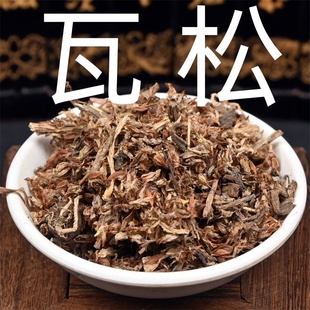 瓦松 中药材瓦花向天草酸塔天王铁花瓦松流苏铁塔草非野生