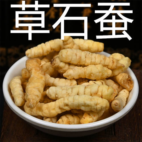 草石蚕中药材地蚕冬虫草参地参