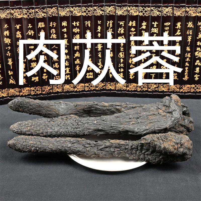 油肉苁蓉 中药材沙漠苁蓉 整枝油质软大云阿拉善软大芸可切片非