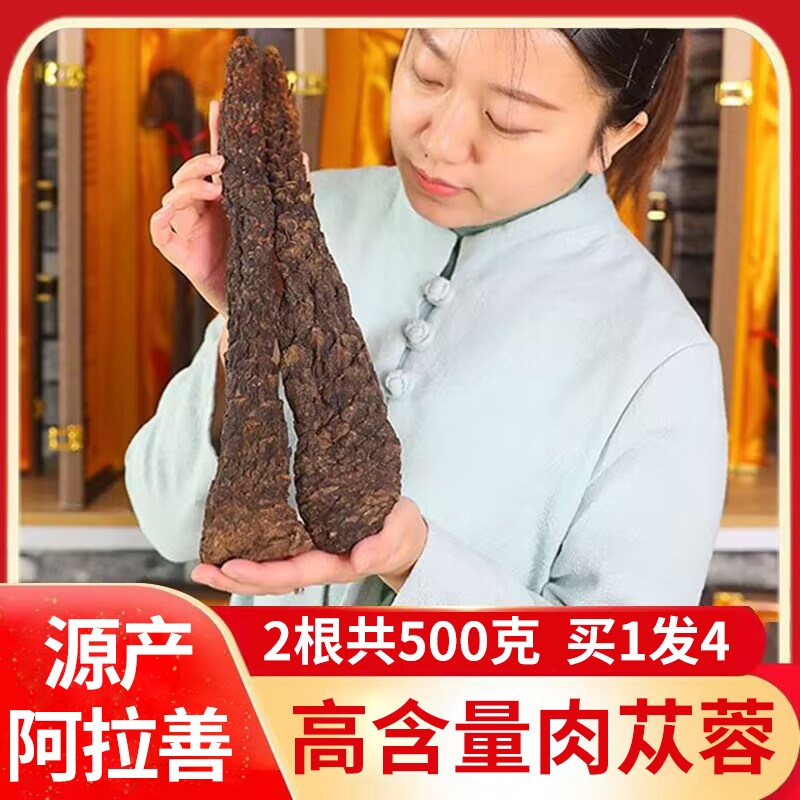 肉苁蓉500g内蒙古阿拉善非野生整根原味可搭锁阳淫羊藿男性泡酒料