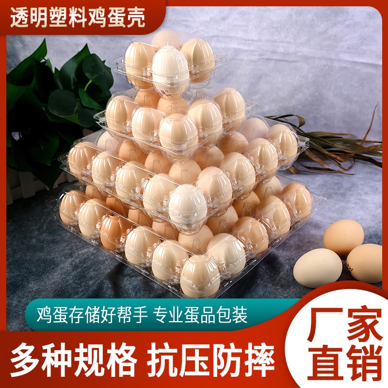 其峰整件装鸡蛋塑料托盘鸭蛋鸽子蛋鹌鹑蛋多种规格包邮厂家直发
