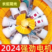 机全自动洗烘一体洗鞋 洗袜洗衣神器 2024新款 家用小型刷鞋 洗鞋 机