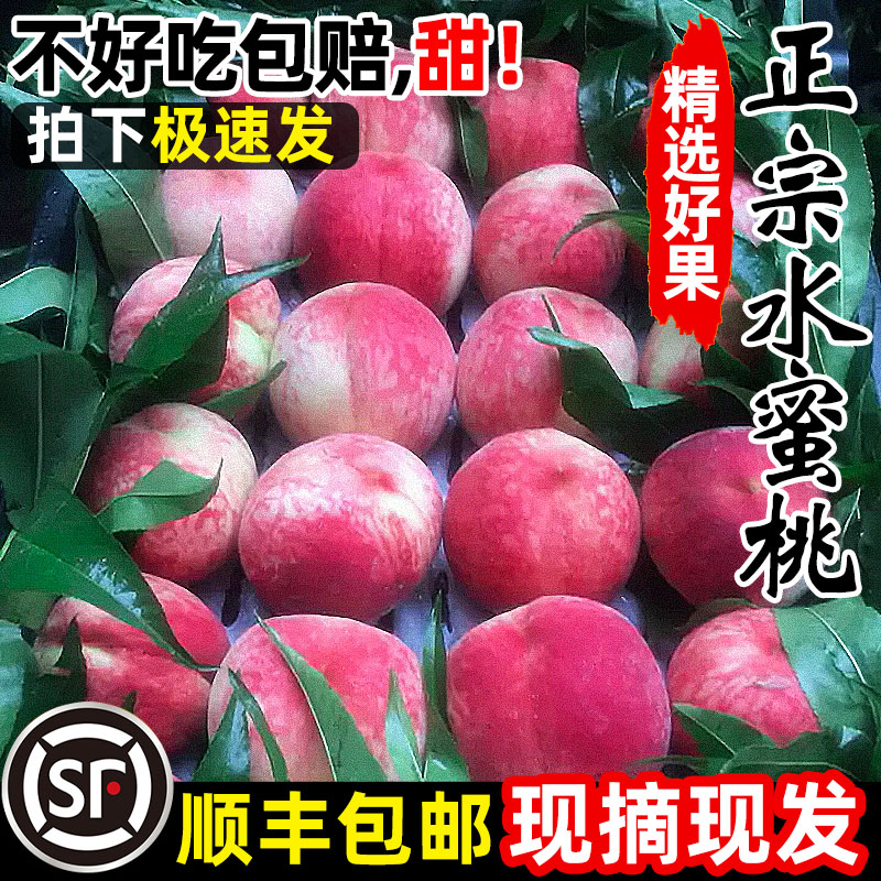 现摘桃子红美人水蜜桃大果10斤时令水果新鲜当季脆桃毛桃孕妇5斤-封面