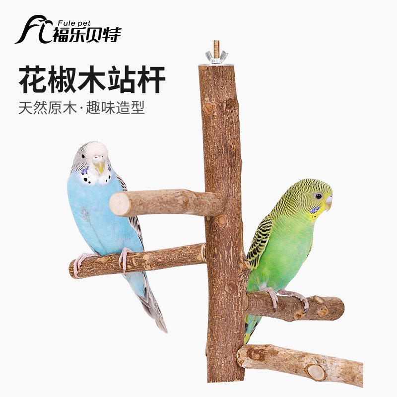 鹦鹉花椒原木树枝架子玄风训练图片