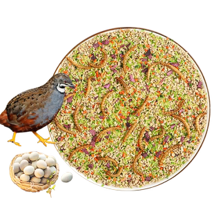 芦丁鸡饲料专用粮产蛋下蛋幼鸟宠物卢丁鸡幼仔育雏开口粮食物零食