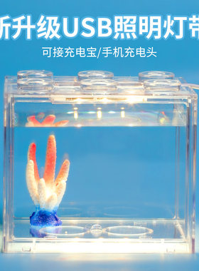 LED斗鱼缸造景灯闪光灯灯带