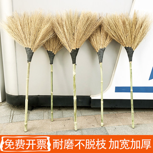 金丝草扫把户外马路庭院厂房