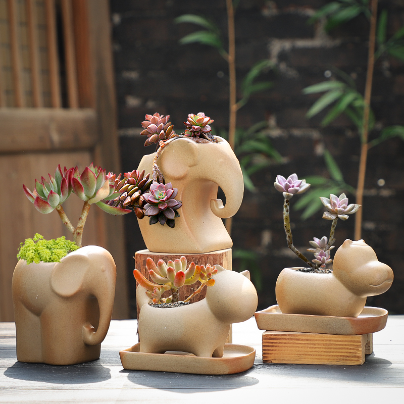 陶瓷河马透气特价促销简约风植物